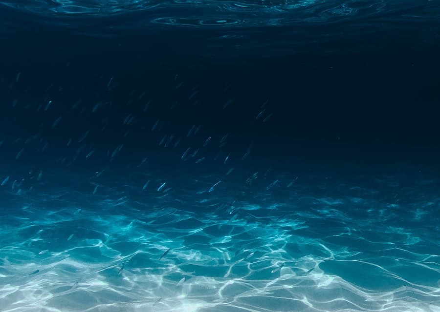 Системы очищенной воды